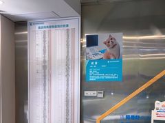 -伟伟宠物医院·CT影像中心·瑞派犬猫综合性门诊(汉口总院)