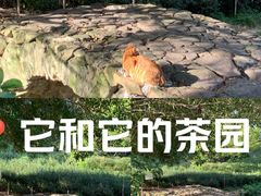 -杭州西湖风景名胜区-三生石