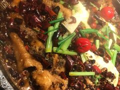 -老板恋上鱼(印象城店)