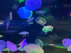 -太平洋海底世界