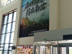 -伊春林都机场
