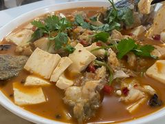 -煲来饱去冷水鱼