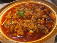 -雀蓝川菜(奥体广场店)