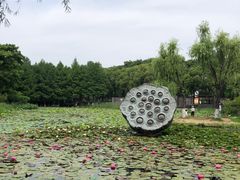 -玄武湖景区-情侣园游乐场