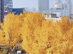 -四川大学(华西校区)