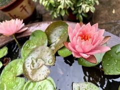 -许驸马府