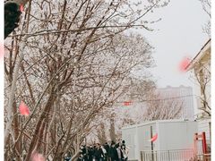 -桃花堤公园