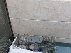 -动物缘宠物医院·骨科·猫科(西二环店)