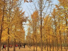 -汉景帝阳陵博物院