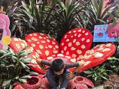 -正佳雨林生态植物园