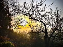 -杭州半山国家森林公园