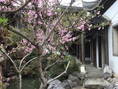-芥子园