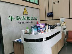 -半岛宠物医院24小时(科华中路店)