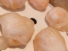 -金苑海鲜酒家(来魅力店)