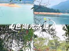 -广州市流溪河国家森林公园