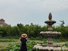 -池杉湖湿地公园