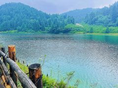 -武陵山森林公园