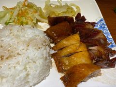 烧鹅双拼饭-發記潮汕大排档(宝翔路店)