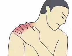-香薇妮丝女子减肥院