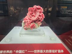 -湖南省地质博物馆