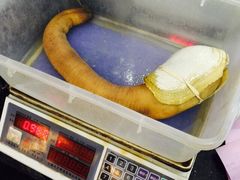 宝燕壹号(徐汇店)-宝燕壹号(徐汇店)