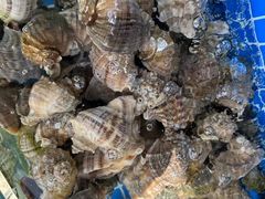 -常家活海鲜小吃(仅一家无分店)