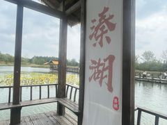 -溱湖国家湿地公园