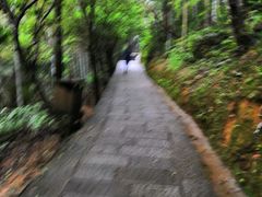 -井冈山革命烈士陵园