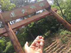 -龙寺生态园