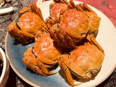 -金陵饭店·梅苑
