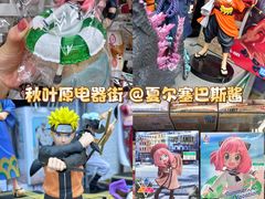 -秋叶原电器街