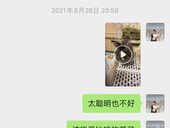 -猫猫幼稚园·撸猫·桌游·电玩