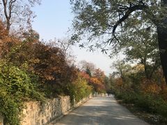 -北京鹫峰国家森林公园