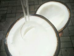 -志龙皇冠吃货椰子铺