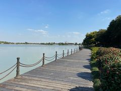 -上海月湖雕塑公园