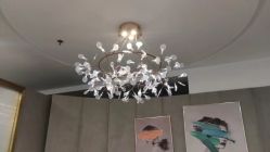 -八佰伴8008星级形象店