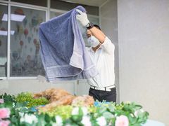 -彩虹桥宠物火化殡葬善终服务(金乐大厦店)