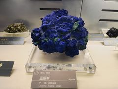 -中国地质博物馆