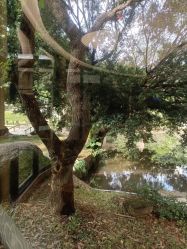 -爱帝宫月子中心(罗湖别墅院)