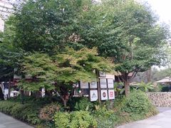 -瑞虹新天地月亮湾