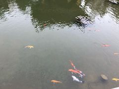 -粤剧艺术博物馆