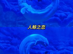 -郑州海洋馆