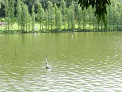 -三水森林公园