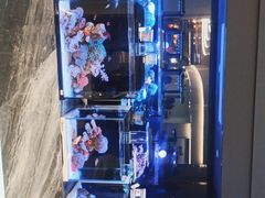 -1013 PET SHOP精品宠物商店(丁香店)