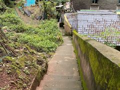 -李子坝梁山鸡(李子坝大鸡哥店)