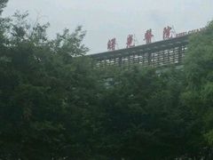 -上海中医药大学附属曙光医院(东部)