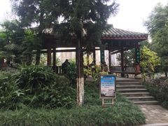 -龙头寺公园