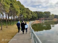 -美兰湖景区