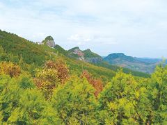 -照金香山旅游景区