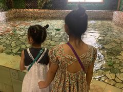 -泉城欧乐堡戏水湾艺术养生温泉